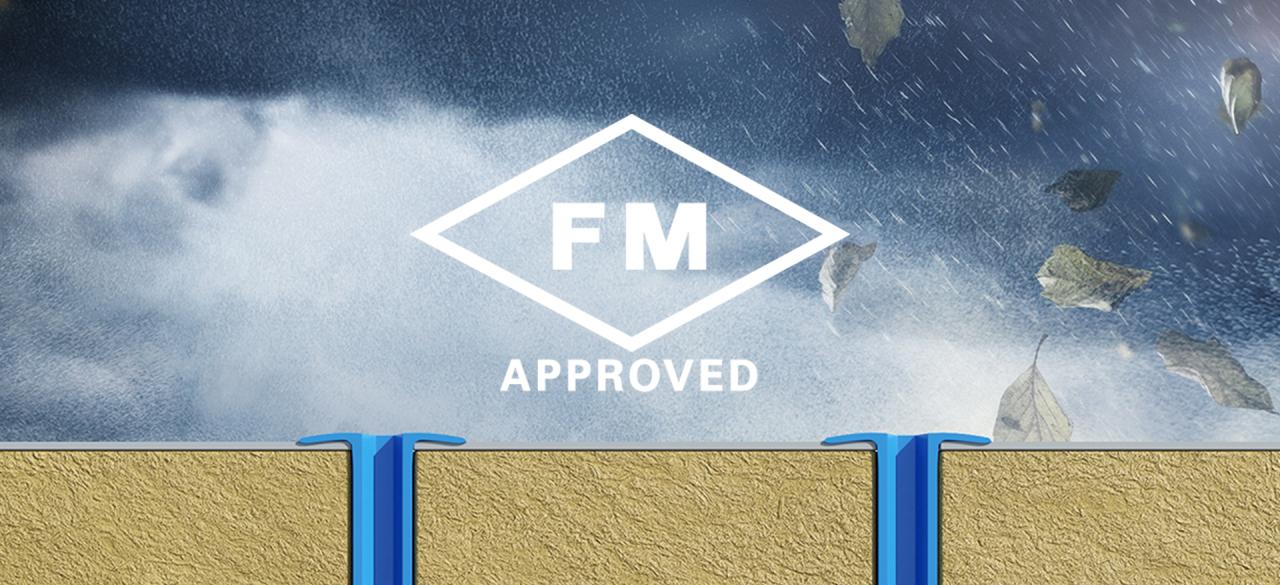 FM Approved Assembly FM Approved Assembly